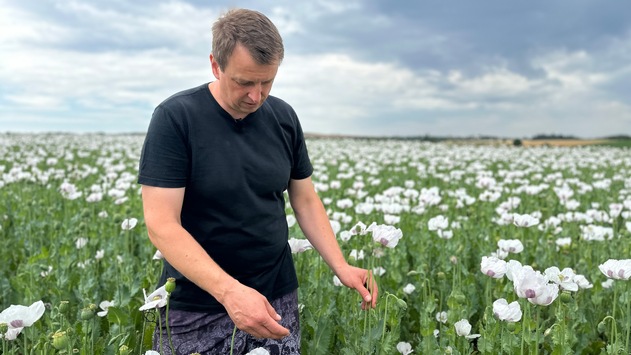 mdr reportage für arte gewinnt deutsch tschechischen journalistenpreis