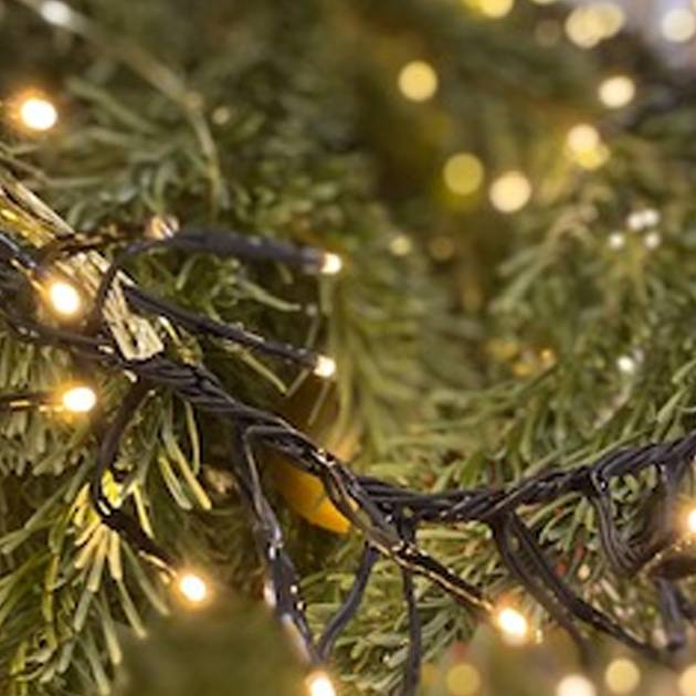 weihnachtsbeleuchtung in vorst hängt