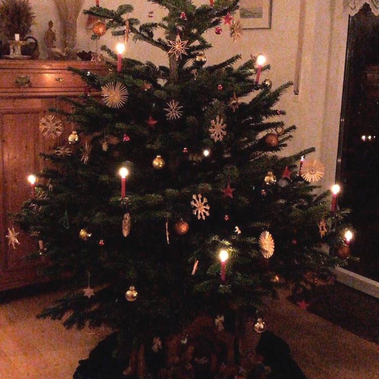 wünsche erfüllen: wunschbäume in krefeld und schwalmtal