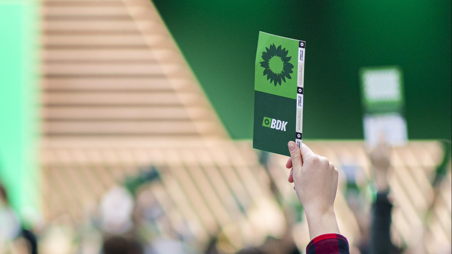 gruene parteitag 282