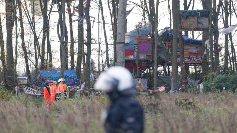 nordrhein westfalen: polizei räumt baumhütten im hambacher forst