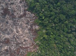 a drone view shows burned trees in the amazon rainforest in apui amazonas state brazil august 9 2024