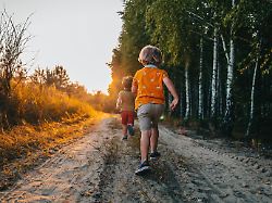 cute kids boys runs at summer nature road brothers playing outdoors sunset happy childhood