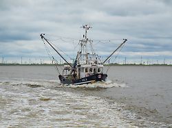der fischkutter acc2 faehrt vor der ostfriesischen kueste im wattenmeer bei baltrum niedersachsen deutschland