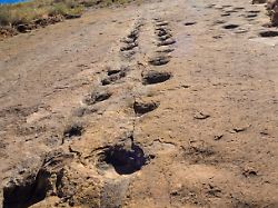 dinosaur footprint in toro toro bolivia dinosaur footprint in toro toro bolivia