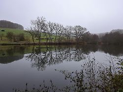 ein trister vormittag im siegerland die kahlen baeume baeume spiegeln sich im buescher buescher weiher und der himmel ist grau herbst im siegerland am 04 12 2025 in freudenberg deutschland