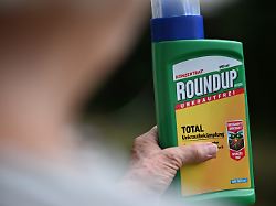 eine frau haelt in ihrem garten eine flasche des unkrautvernichters roundup mit dem wirkstoff glyphosat von bayer in der hand gestellte szene 1