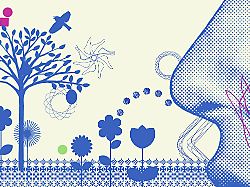 frau riecht an blumen publicationxinxgerxsuixautxonly jamesxtaylor 10580009