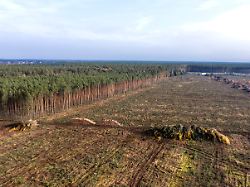 gruenheide 12 11 2022 tesla gigafactory in gruenheide tesla hat weitere 70 hektar wald auf seinem gelaende gerodet um das fabrikgelaende zu vergroessern