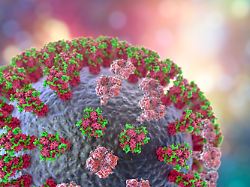 influenza virus h3n2 3d illustration showing surface glycoprotein spikes hemagglutinin and neuraminidase