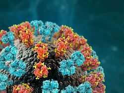 influenza virus h3n2 closeup view 3d illustration showing surface glycoprotein spikes hemagglutinin and neuraminidase