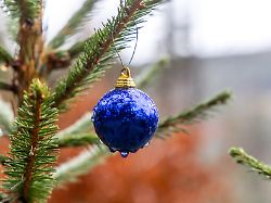 regentropfen haengen an einer weihnachtskugel mit der eine fichte im wald im taunus geschmueckt ist grau trueb und nicht winterlich zeigt sich das wetter am ersten advent im taunus