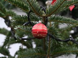 tannenbaum ast mit weihnachtskugel weihnachtsschuck christbaumkugel