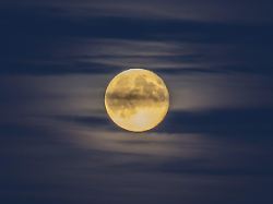 vollmond supermond ueber dem moor emsland niedersachsen deutschland
