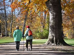 wetterbild vom 05 11 2025 goldener oktober im november ein sonniger herbsttag im englischen garten in muenchen lockt viele menschen an den milden herbstag im freien zu geniessen
