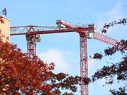 zwei baukraene sind am himmel hinter herbstlichen baeumen neben einem gebaeude zu sehen