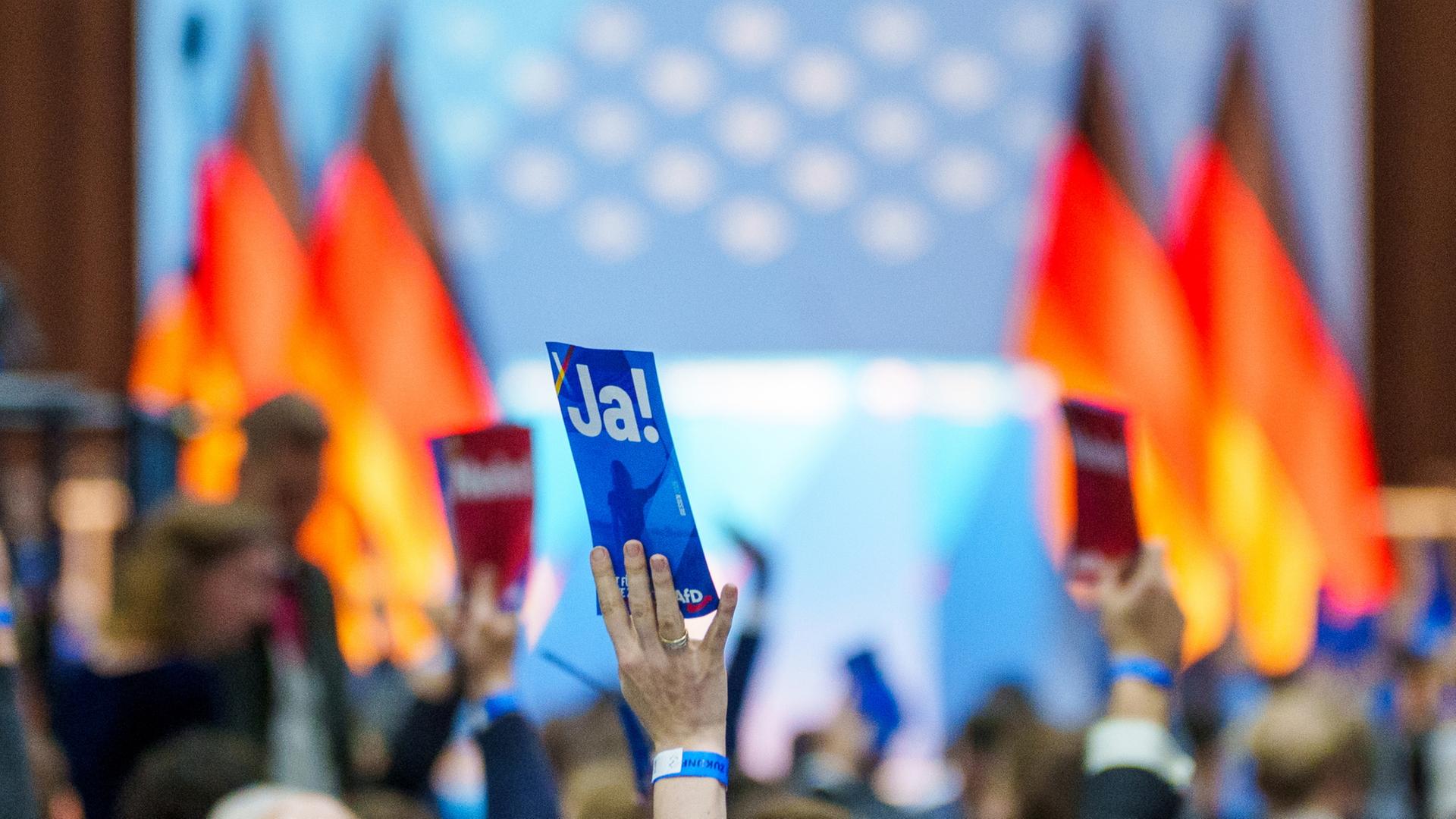 afd jugend gruendung wahl 100