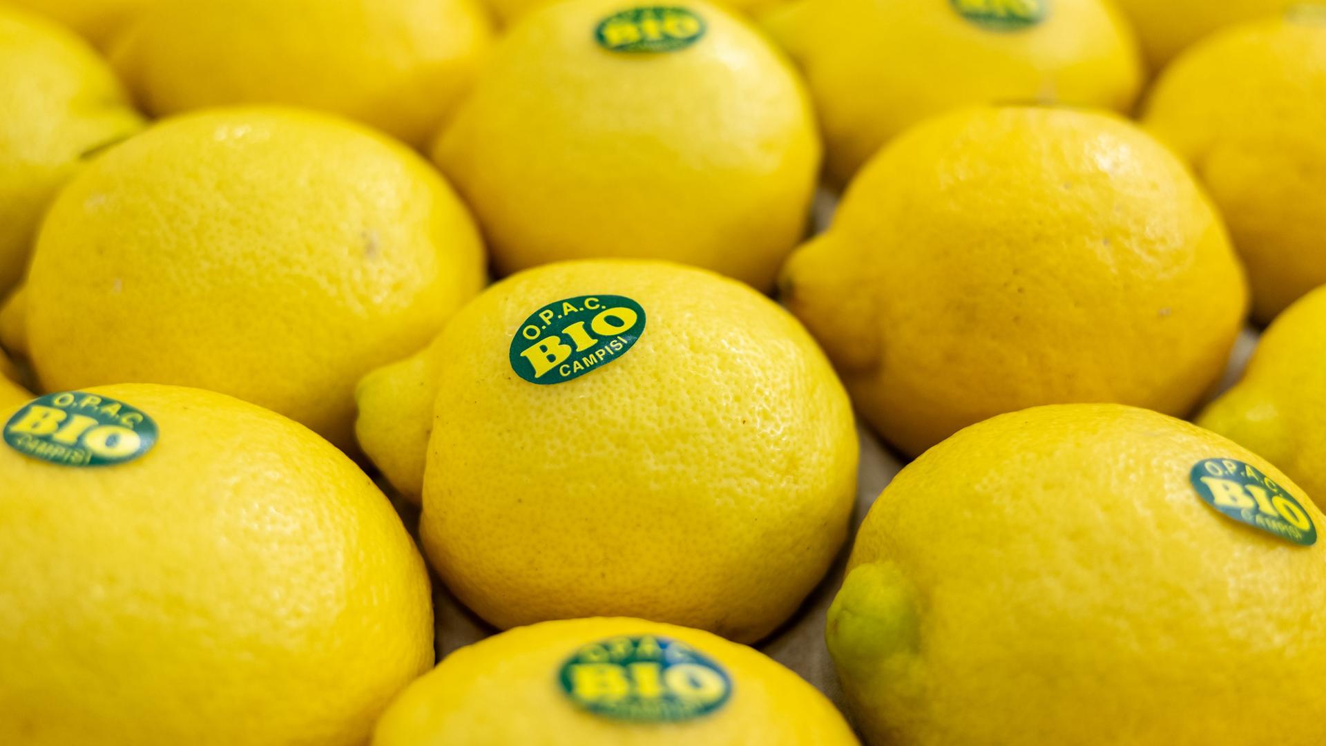 bio lebensmittel 108