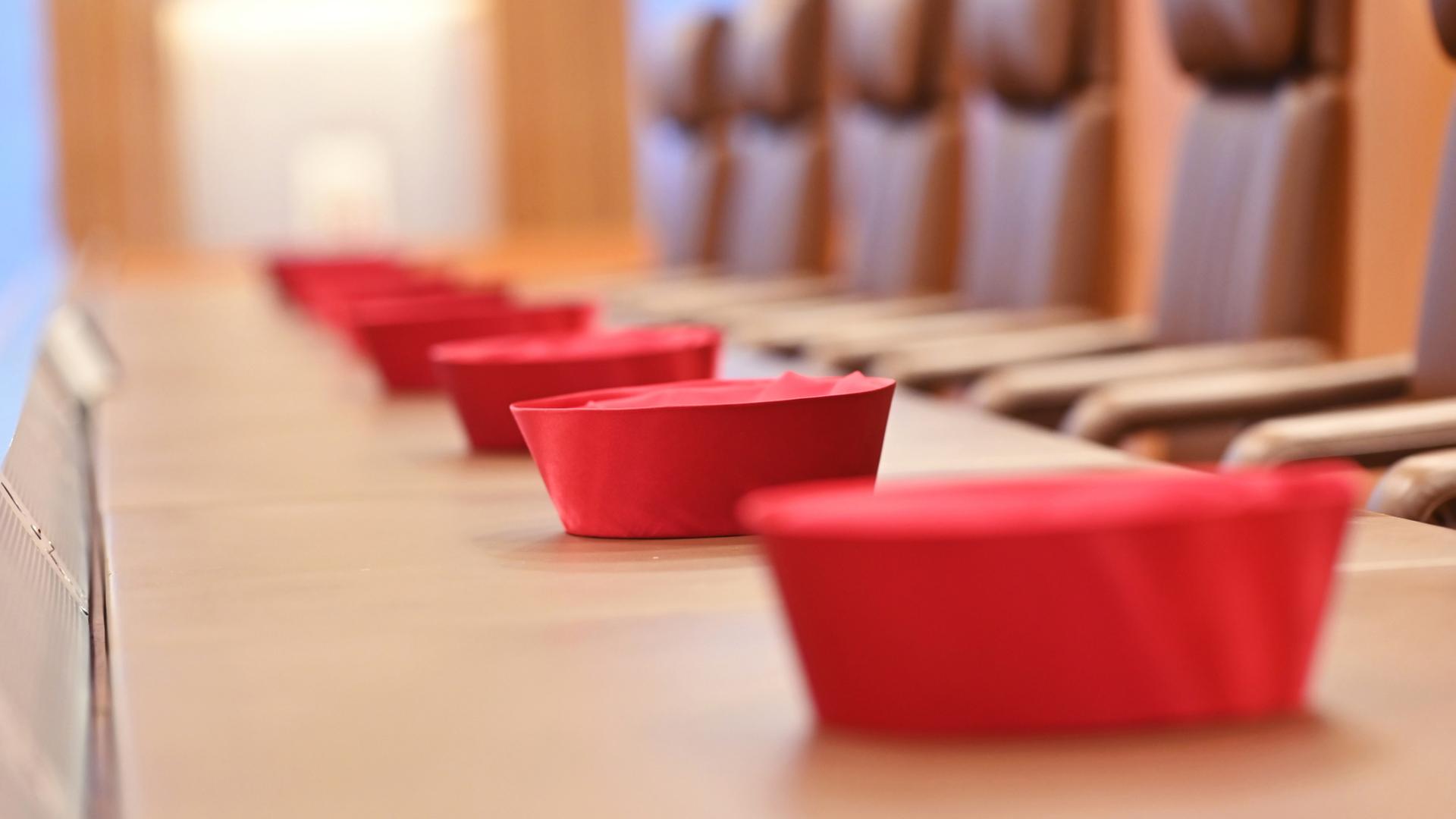 bundesverfassungsgericht 235