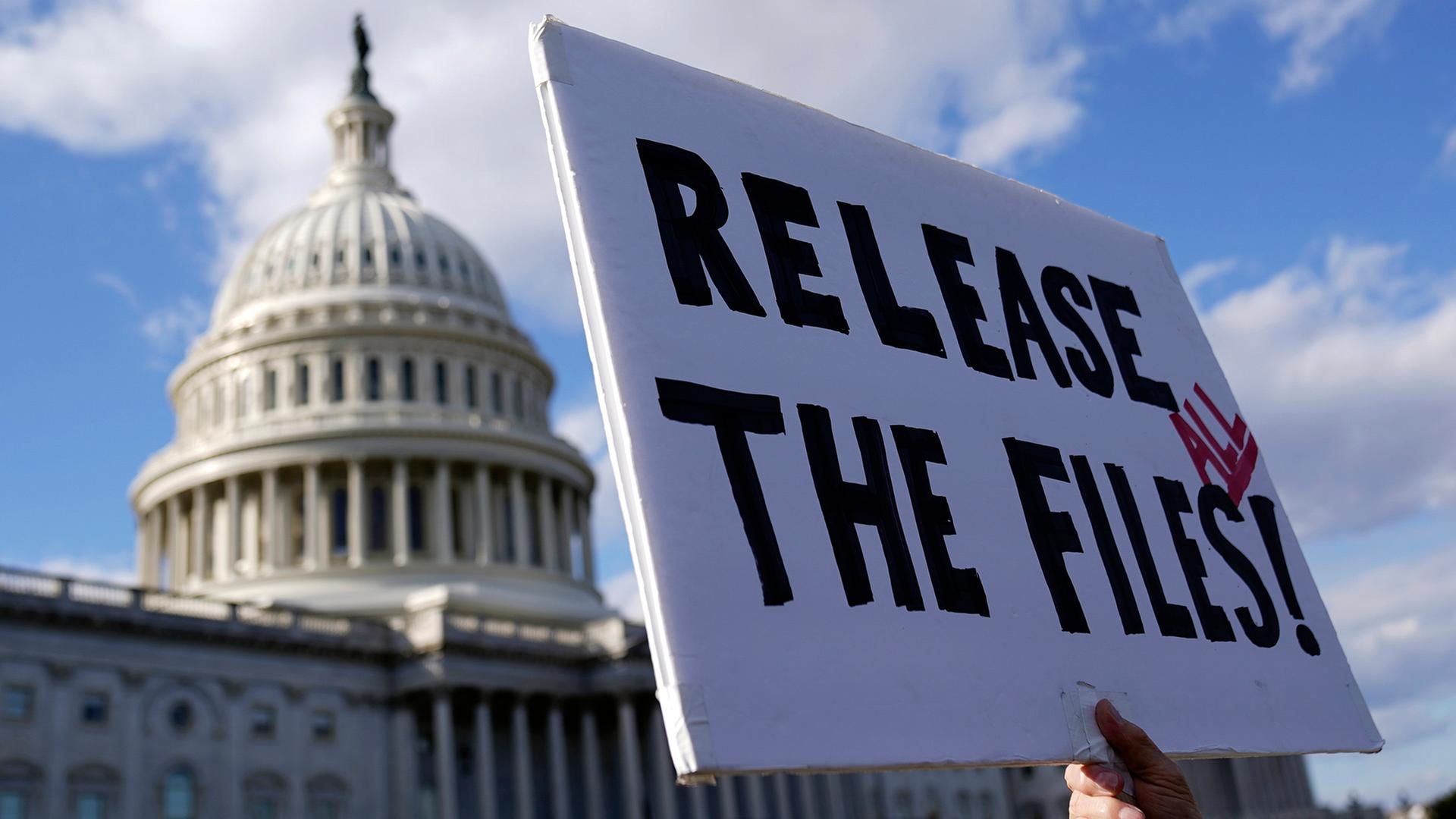 epstein files proteste 100