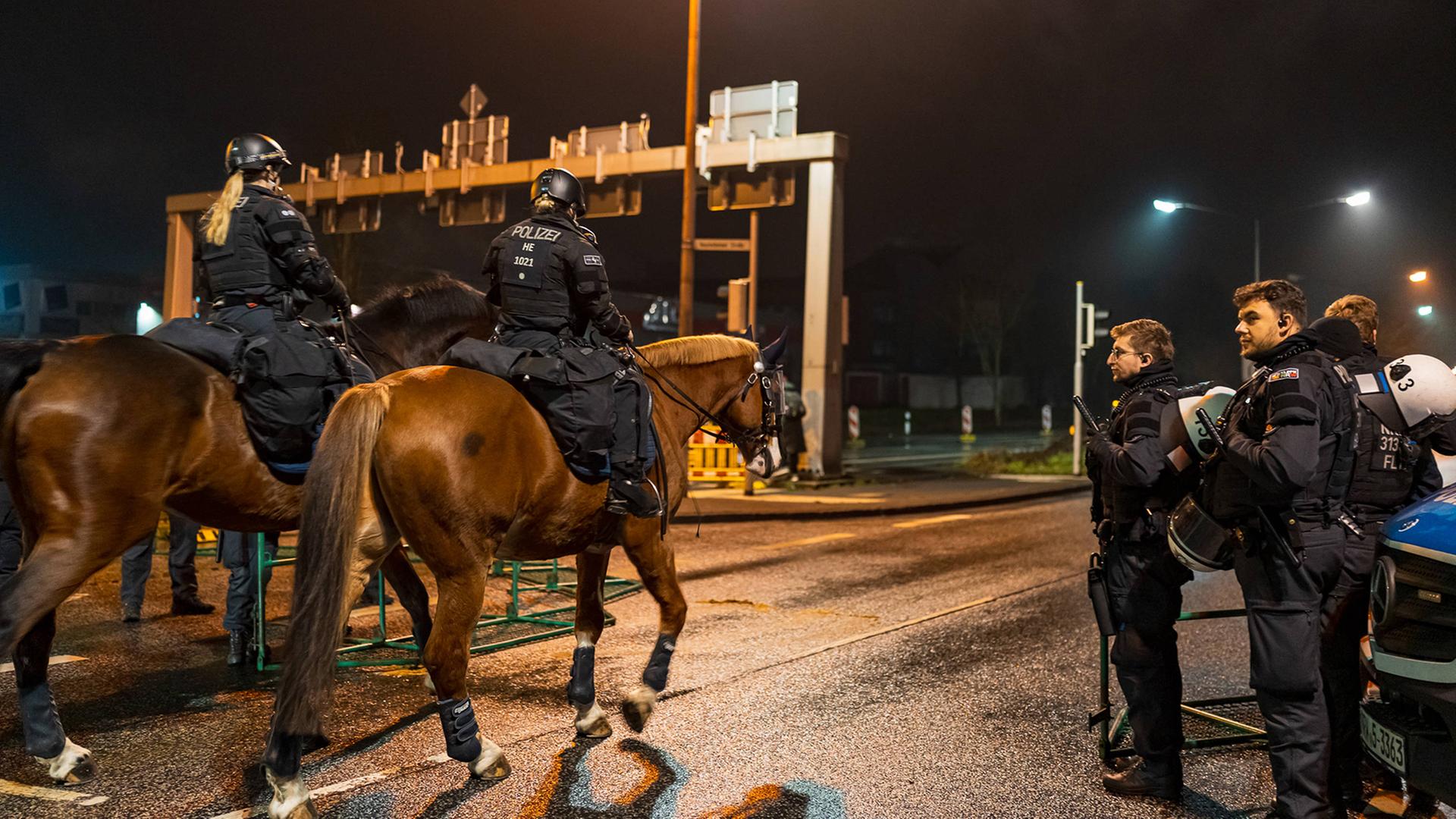 polizei polizeipferde giessen 100