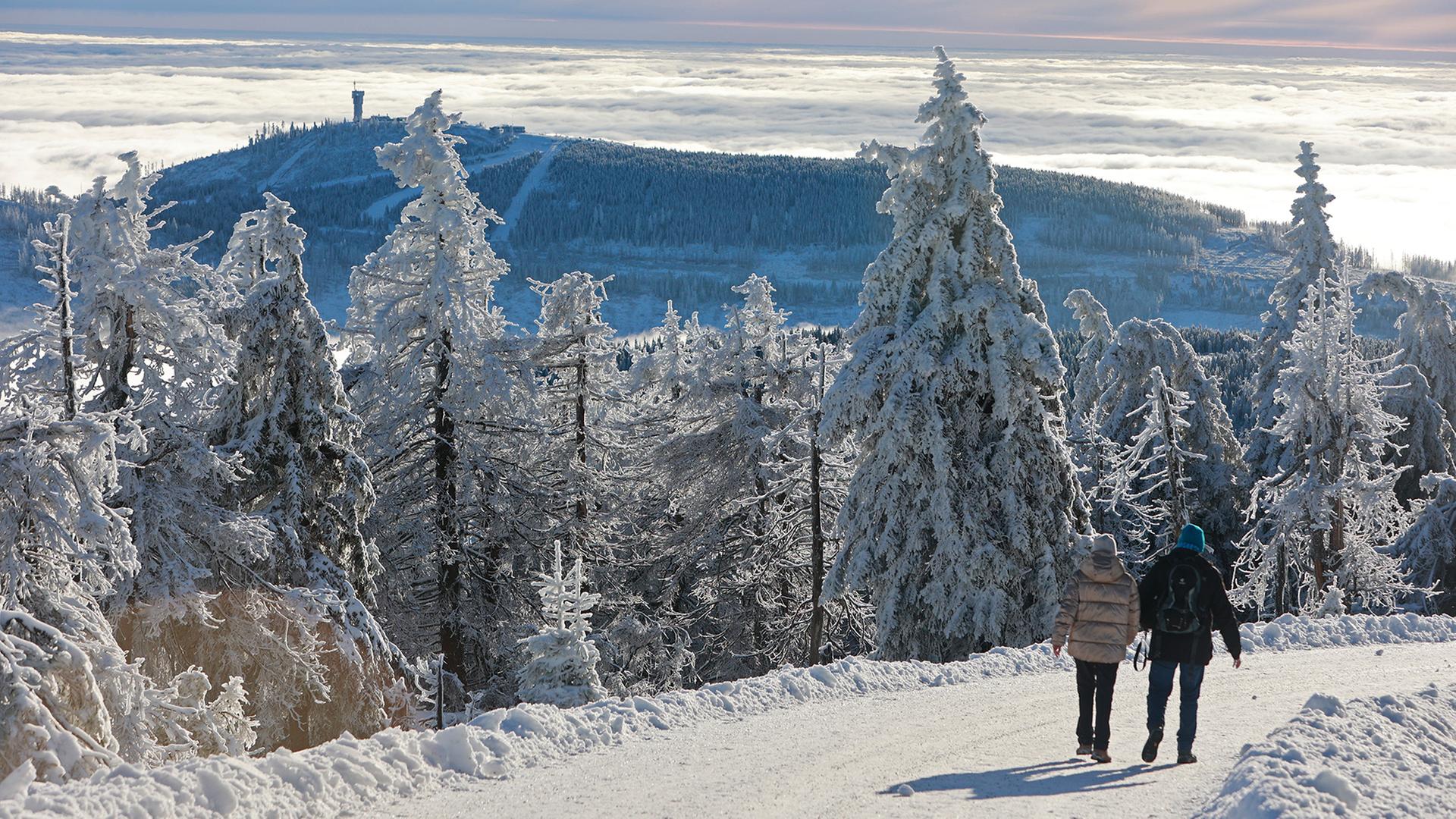 schnee schierke sachsen anhalt 100