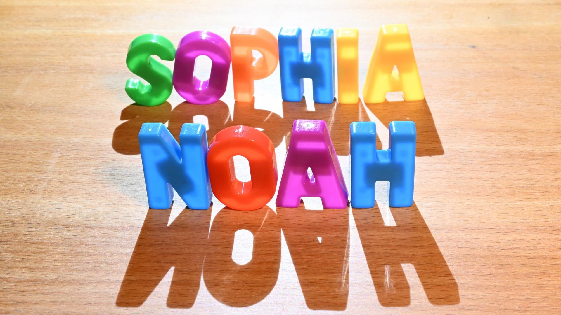 sophia noah 100