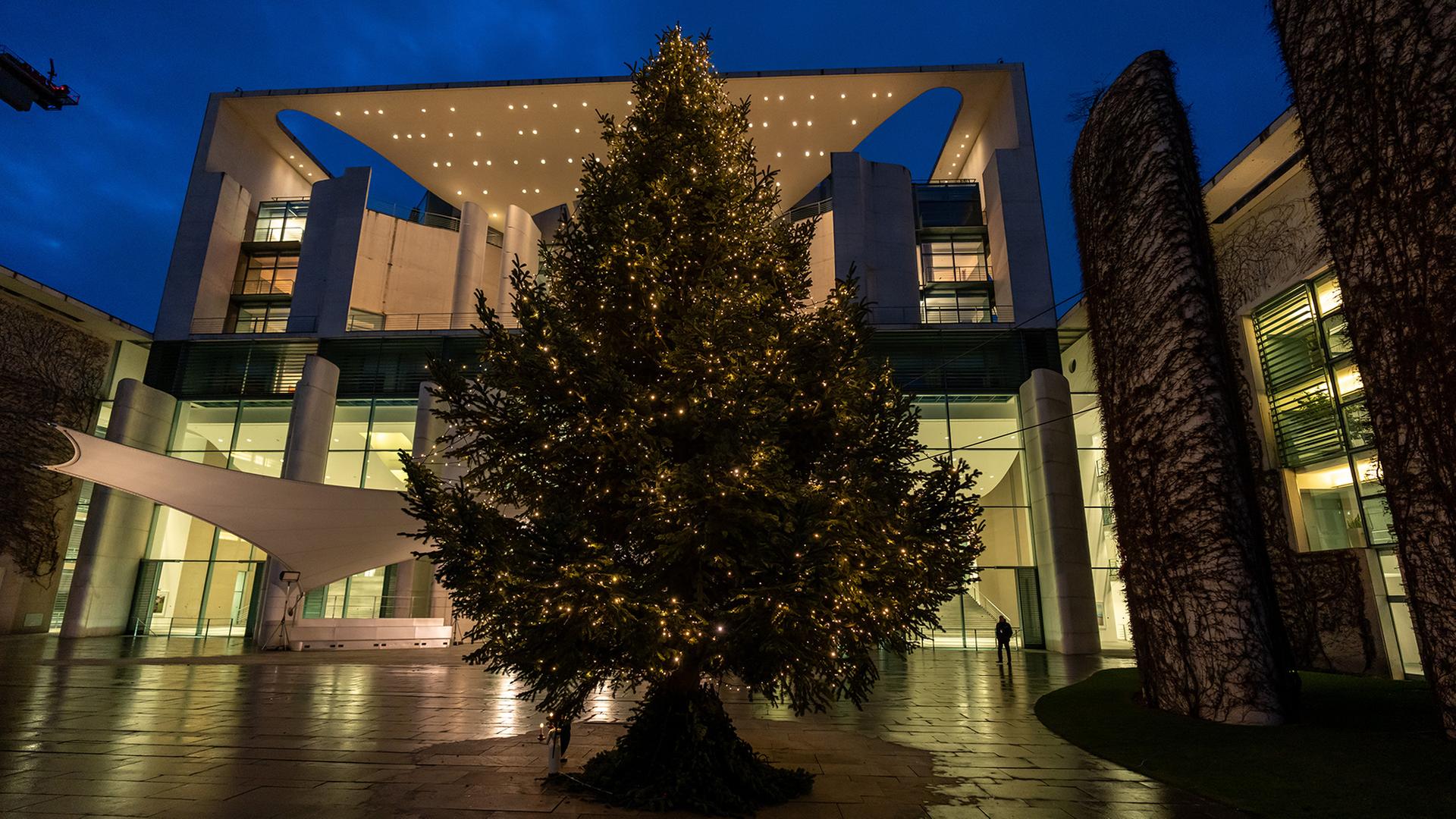 weihnachtsbaum kanzleramt 100