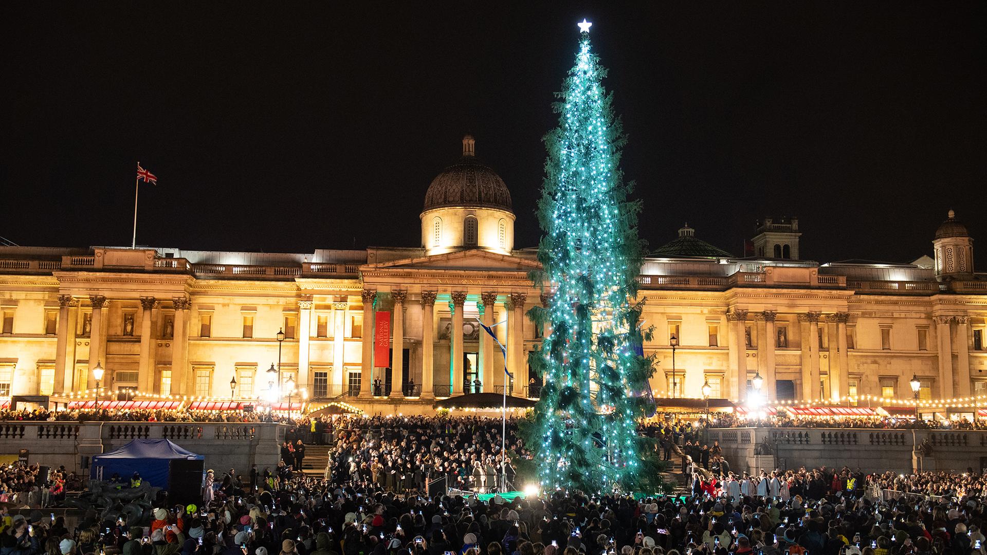 weihnachtsbaum trafalgar square 100