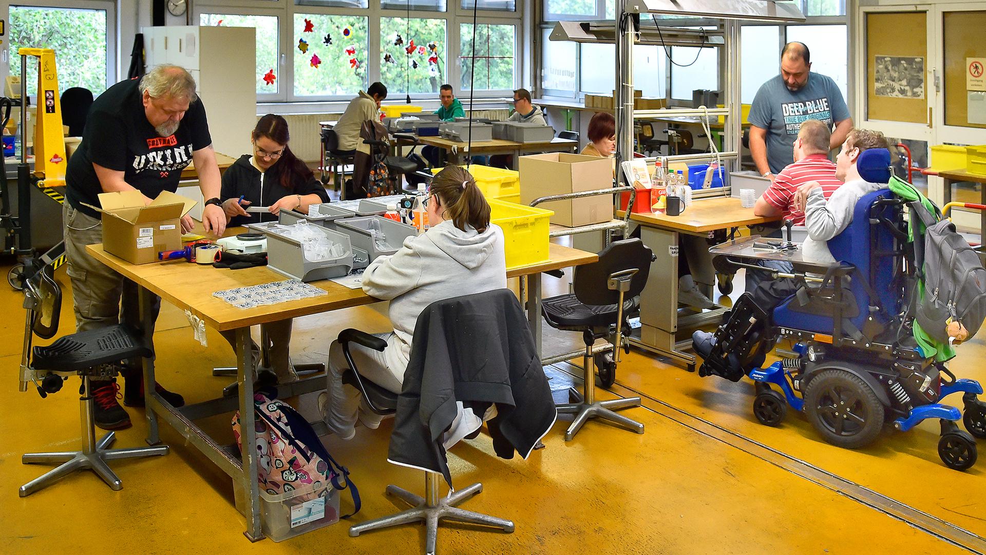 werkstatt menschen behinderung 100