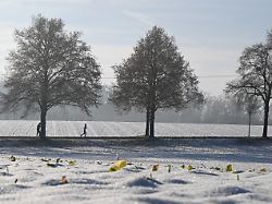 27 01 2026 baden wuerttemberg stuttgart eine joggerin laeuft durch eine verschneite allee