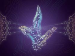 a20jurassic aged20dinosaur20footprint20from20the20isle20of20skye20scotland20displayed20in20520mm20contours20from20a20photogrammetric20model.20credit20tone20blakesley