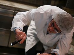 axel bornemann lebensmittelkontrolleur leuchtet bei einer kontrolle in einer neu eroeffneten pizzeria in stuttgart mit einer lampe unter eine theke