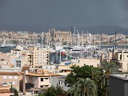 blick auf die stadt in der naehe des hafens von palma auf mallorca