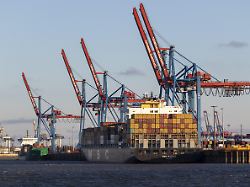 containerbruecken und containerschiff msc madrid der reederei mediterranean shipping company in der abendsonne auf der elbe am containerterminal burchardkai im hafen von hamburg deutschland