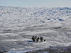 file danish military forces participate in an exercise with hundreds of troops from several european nato members in kangerlussuaq greenland sept 17 2025