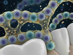 gemini generated image kl89q8kl89q8kl89