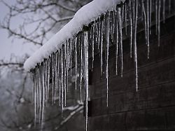 horb kreis freudenstadt 12 01