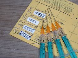 impfpass und spritzen impfpass und spritzen 18 02 2022 borkwalde brandenburg auf einem impfpass liegen vier spritzen