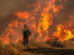 january 11 2025 los angeles california usa firefighter near a fire road above mandeville canyon during the palisades fire