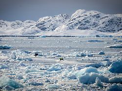 nuuk 2025 03 30 tva motorbatar passerar mellan isberg och packis i havet utanfoer nuuk pa groenland i slutet pa mars 2025