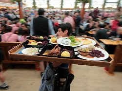 oktoberfest muenchen das festzelt hofbraeu von innen 1