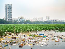 pawai see und skyline von mumbai mit institute of technology bombay indien umwelt und plastikmuell