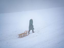 rodelnde kinder und erwachsene im jenischpark januar 2026