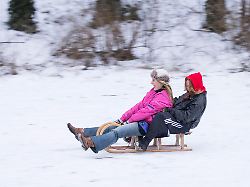rodelnde im berliner fritz schloss park am 03 01