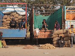 vendors sell vegetables and wait for customers in a wholesale market in delhi india on january 8 2026