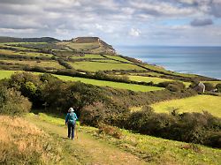 walker on the south west coast path near stonebarrow with golden cap in distance charmouth jurassic coast unesco world heritage site dorset england united kingdom europe