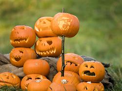 western lowland gorillas enclosure at zsl london zoo featured a special halloween treat this morning a trumpkin a pumpkin carved as donald trump