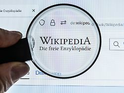 wikipedia website internet lupe monitor