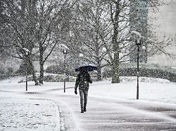 wintereinbruch in essen nur fuer redaktionelle zwecke editorial use only spaziergaenger mit regenschirm im essener stadtgarten am freitag dem 02 januar 2026 wintereinbruch in essen